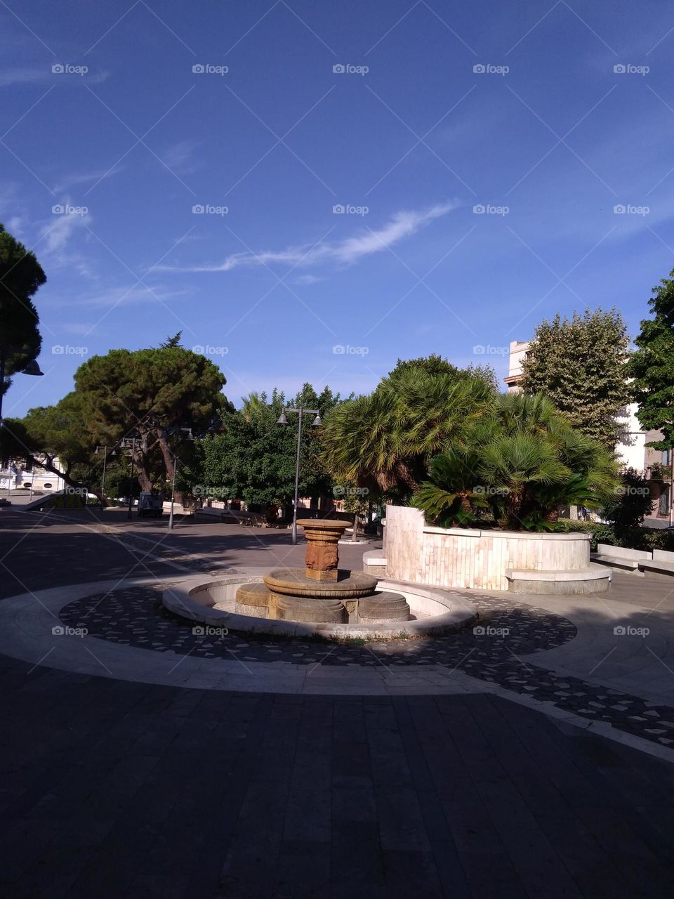 Editors' Choice: Photo of the Week