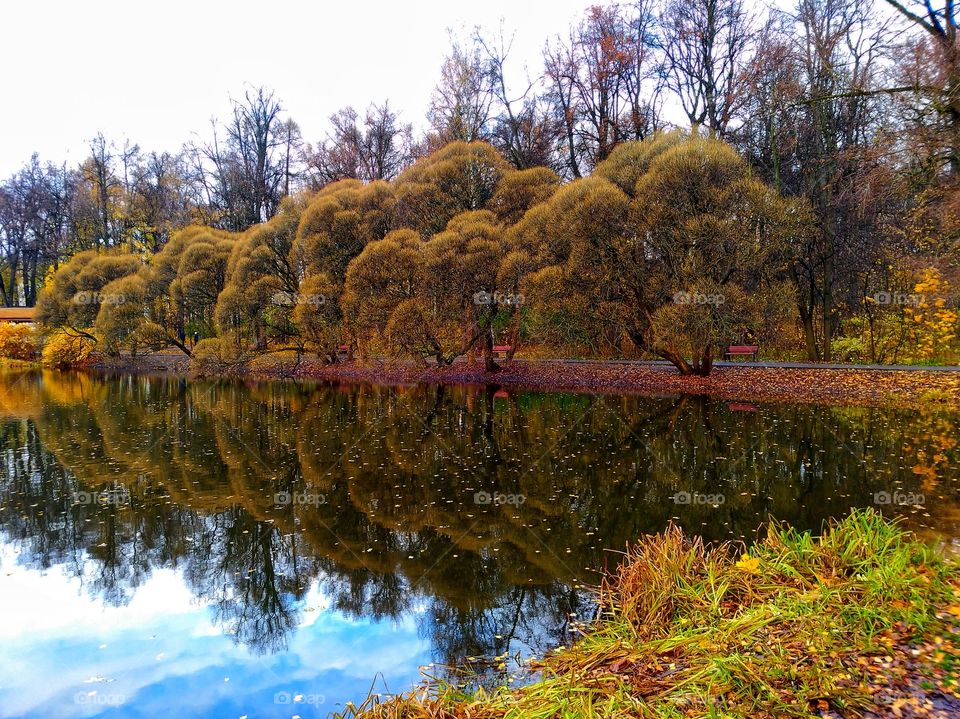 autumn in the park