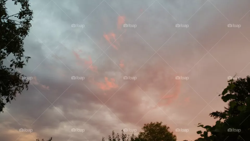 Sky