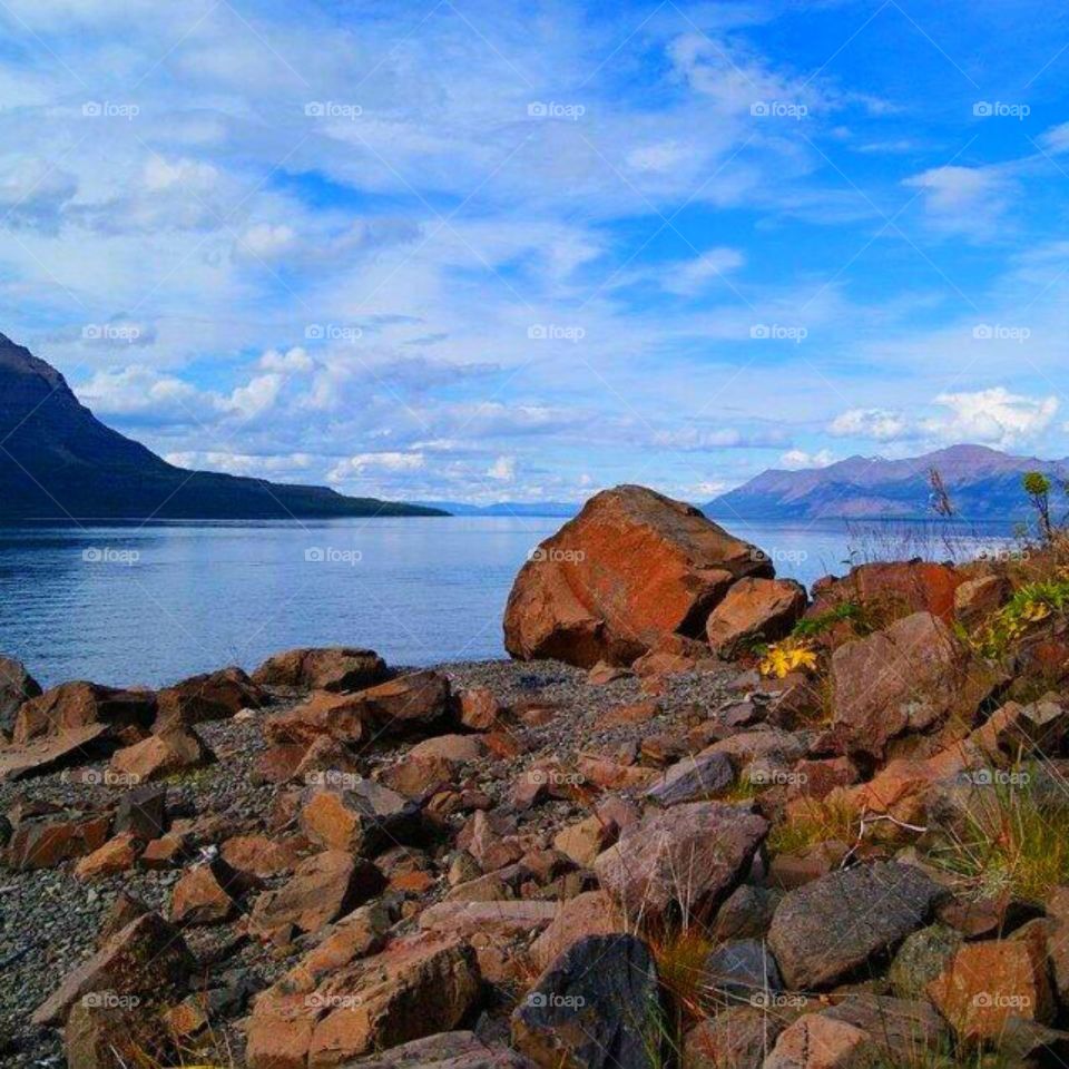 Природа Севера