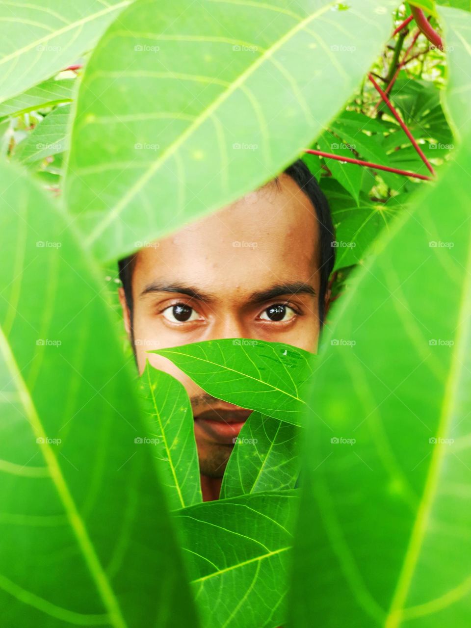 A selfie I took among the leaves of cassava trees in sri lanka