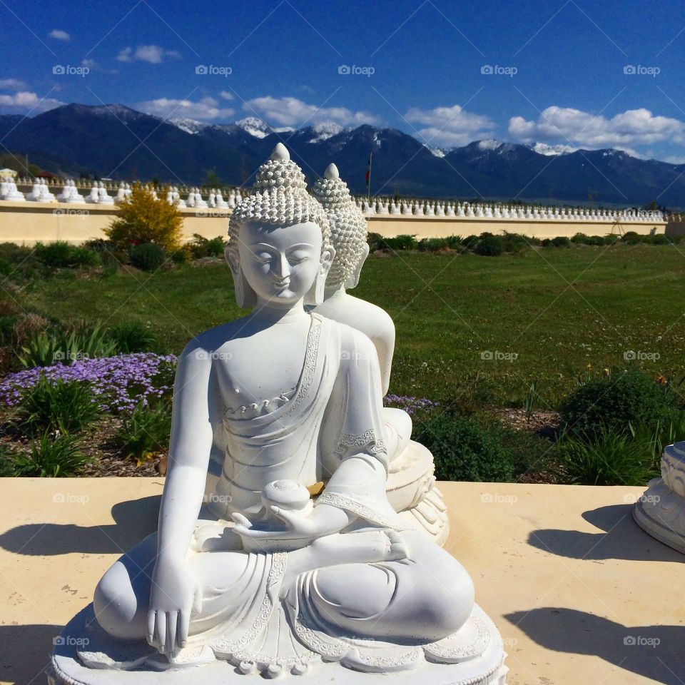 Garden of 1,000 Budha's 