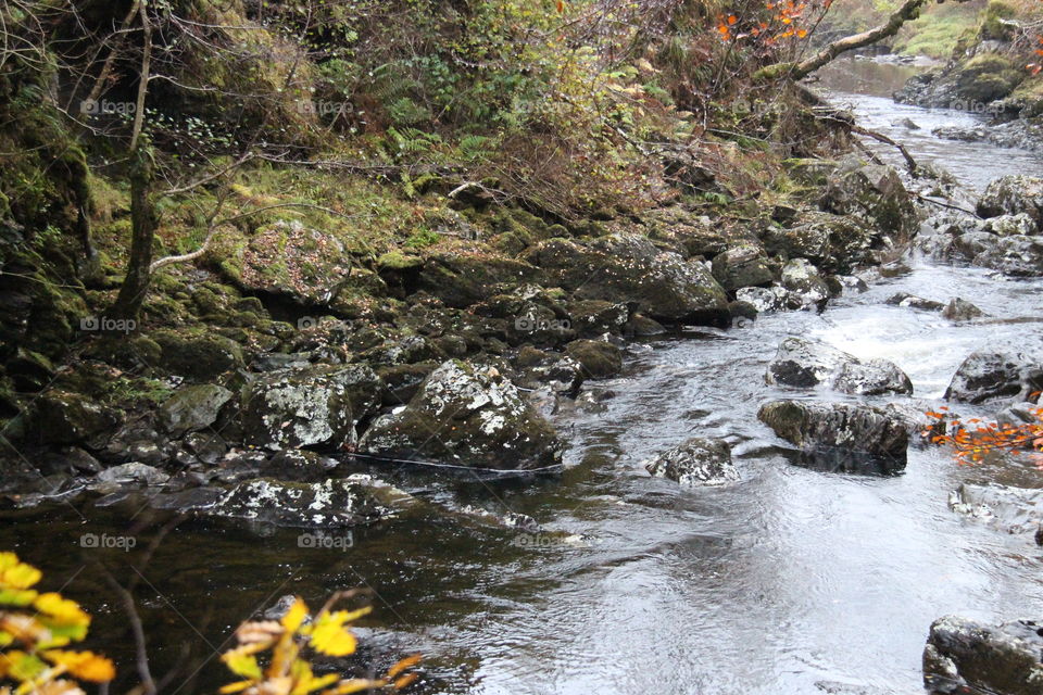 Stream near Falls of Falloch, near Loch Lomond, Scotland