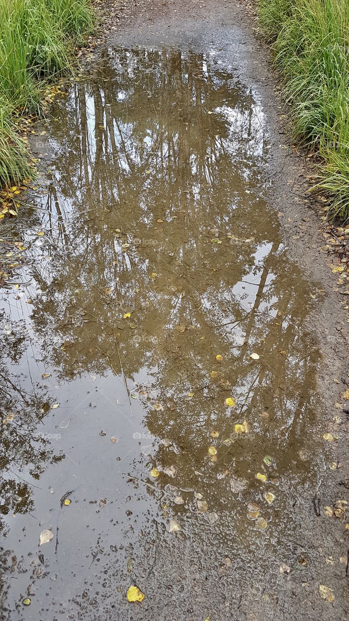 Autumn rain reflections 