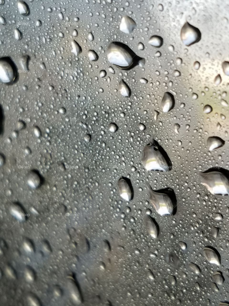 Beautiful macro shots