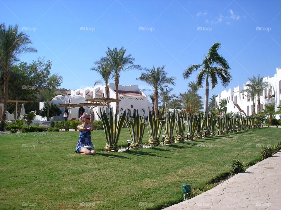 A girl on a flowerbed with palms