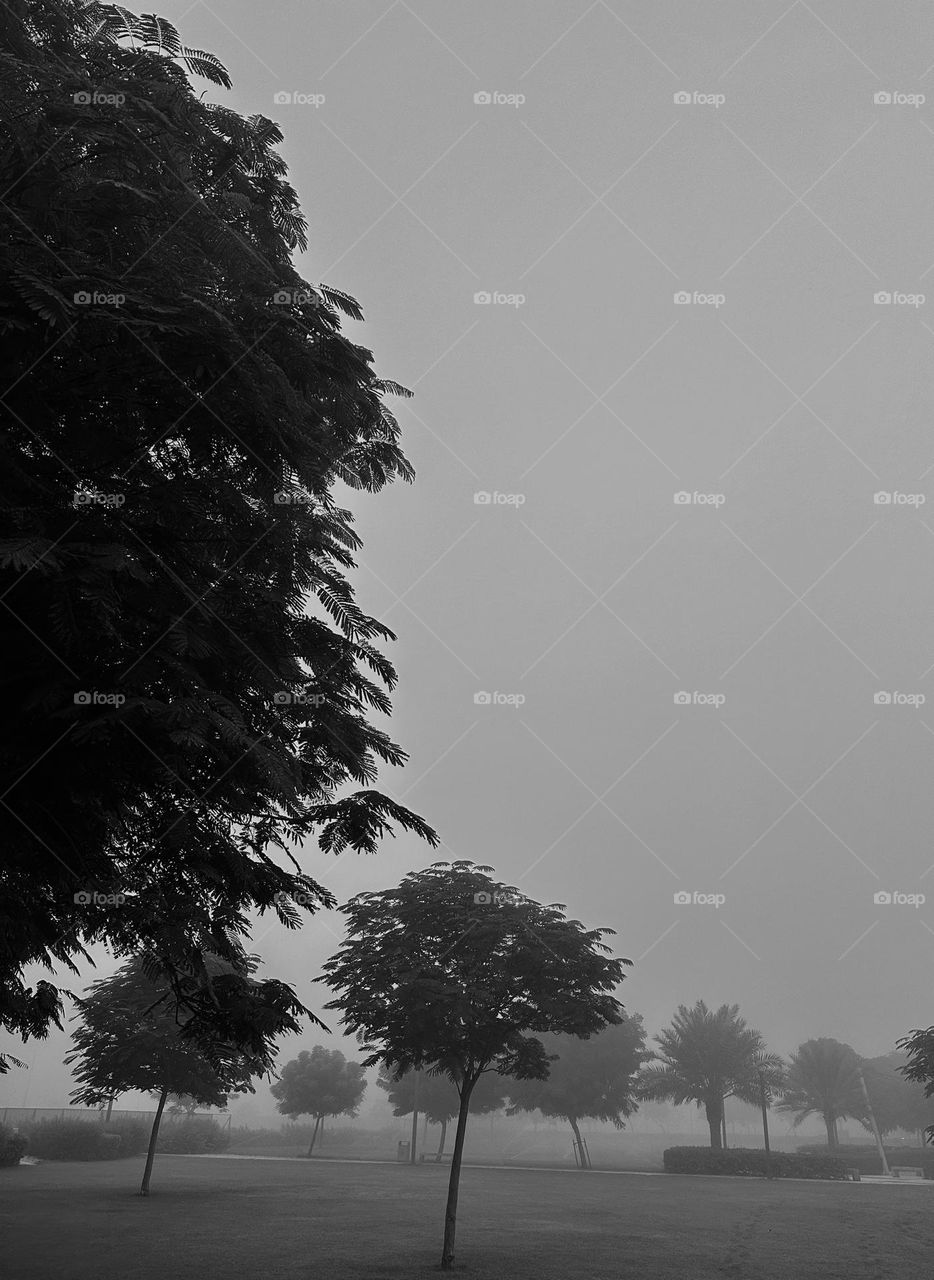 Warm days. Cool nights. 