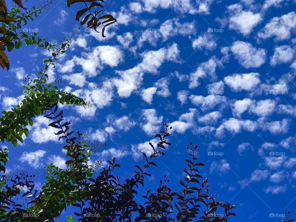 Blue sky with clouds