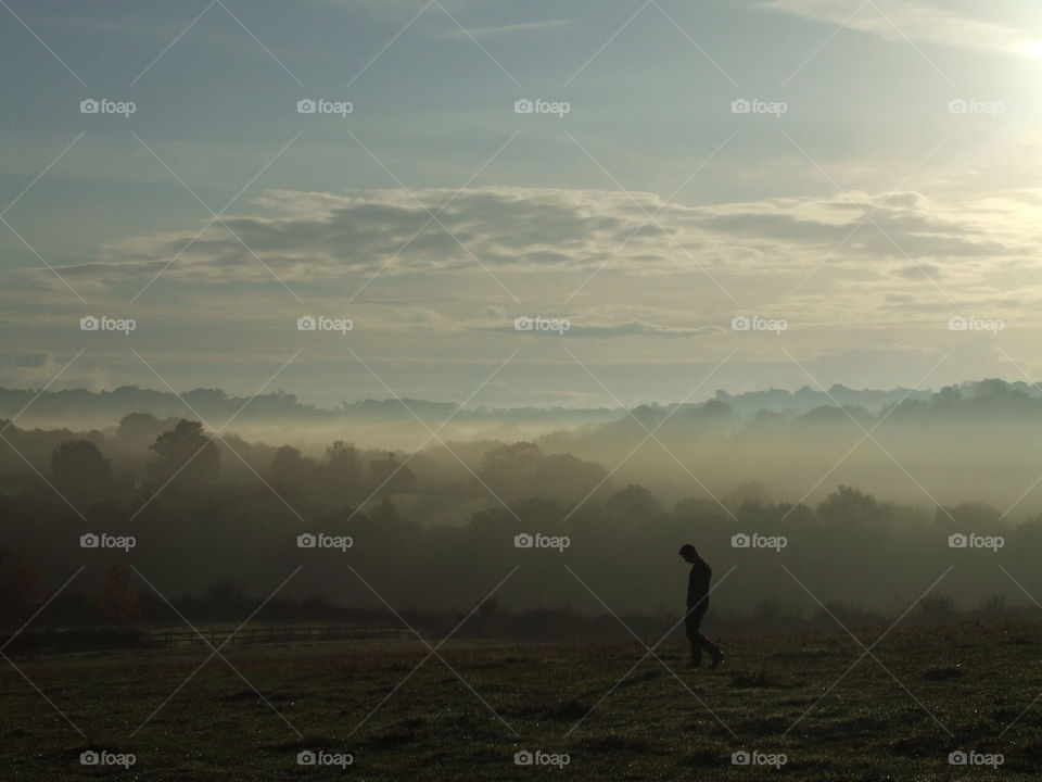landscape field morning trees by tomrobbarber