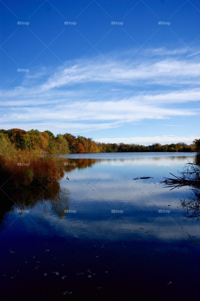 Fall reflections 