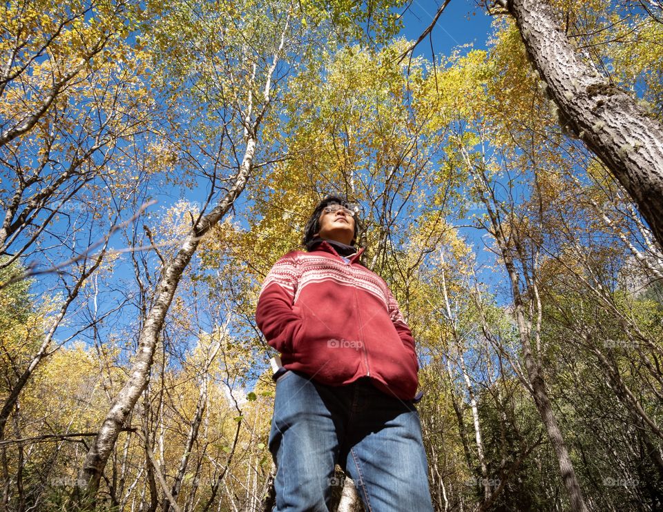 Tourist take photo with yellow leaves in autumn season at Georgia,new landmark for tourists 