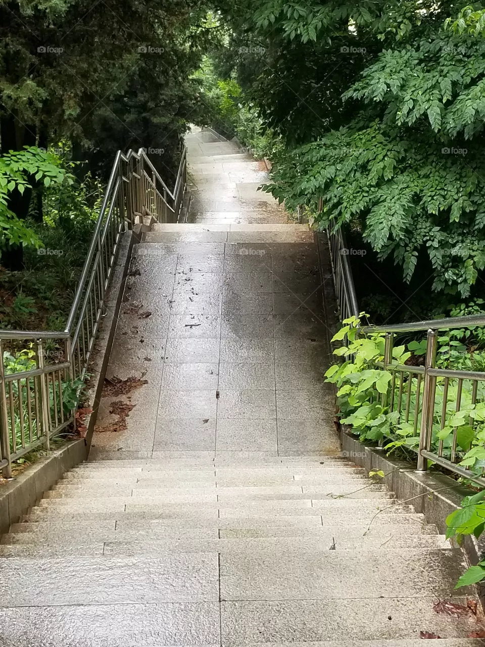 Park