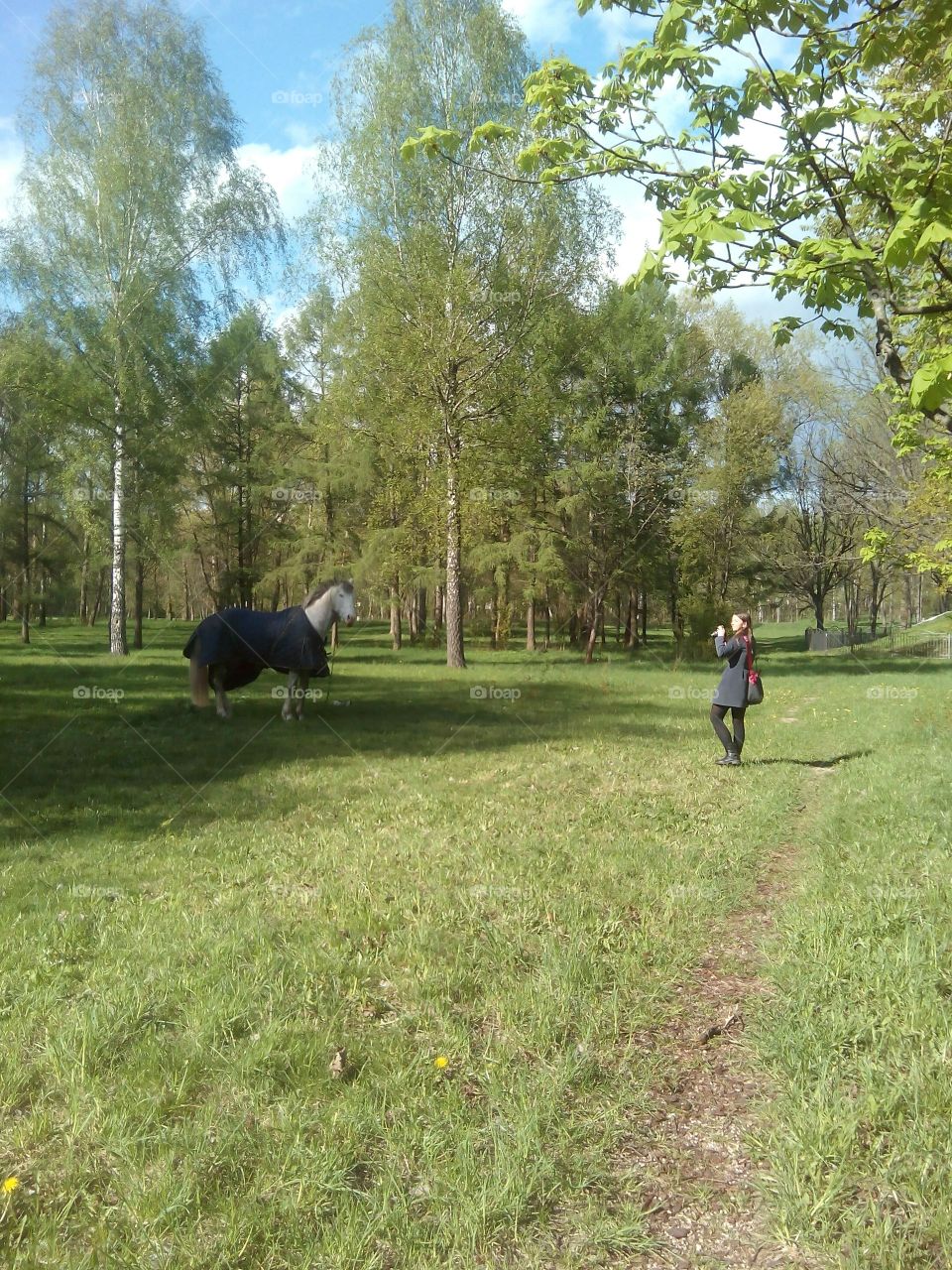 Landscape, Tree, Grass, Park, Outdoors