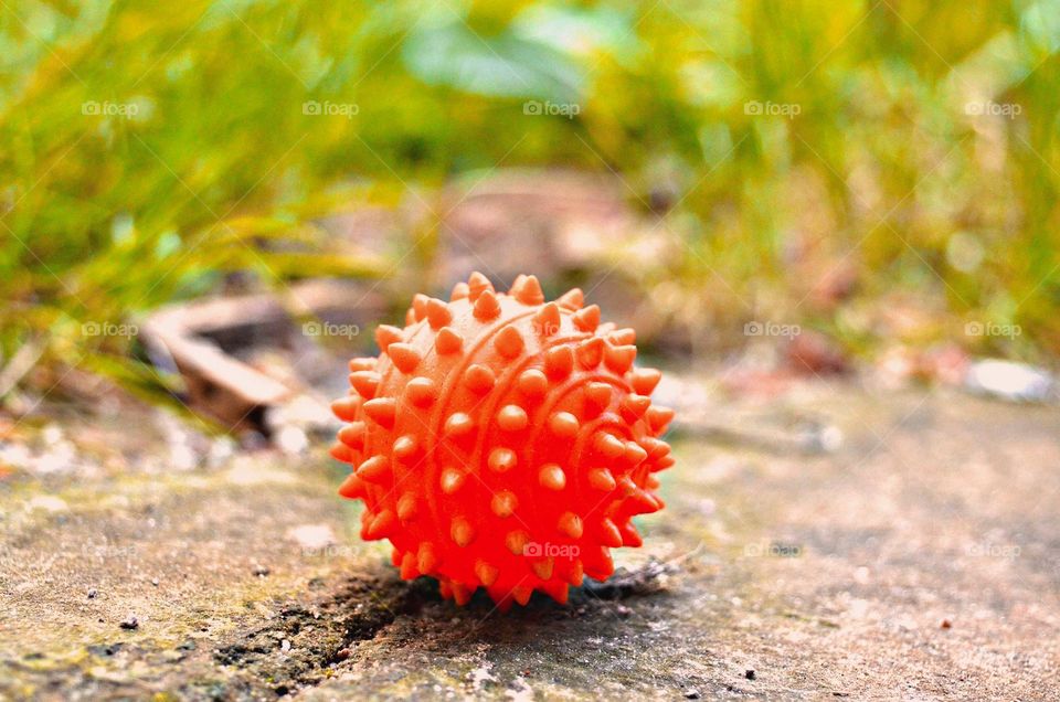 Close-up of orange ball