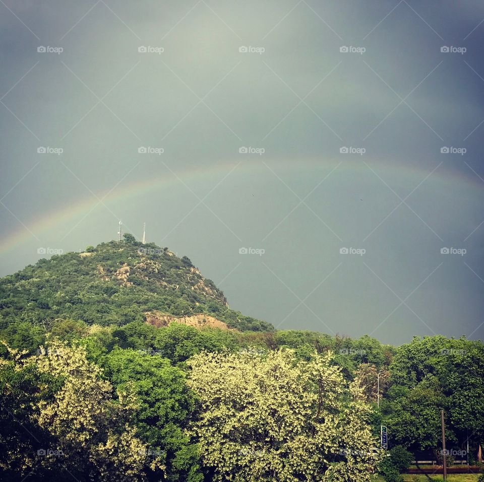 Rainbow, Rain, Landscape, Tree, Sky