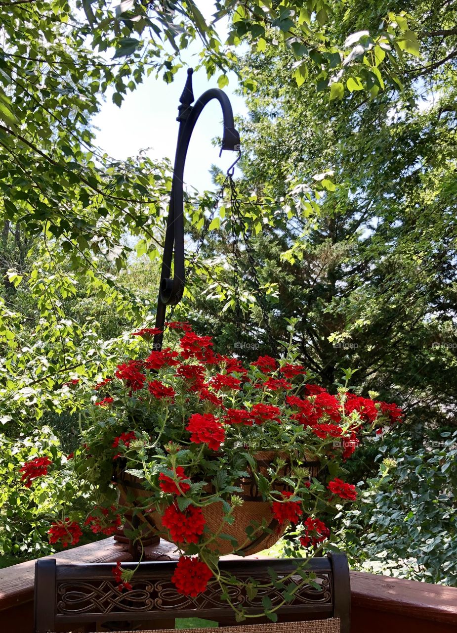 Hanging flower basket deck 