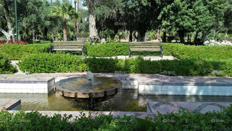 Small fountain in a public garden.