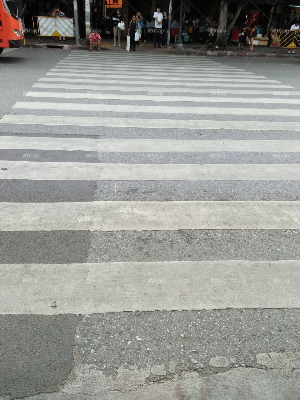 My way...Zebra Way