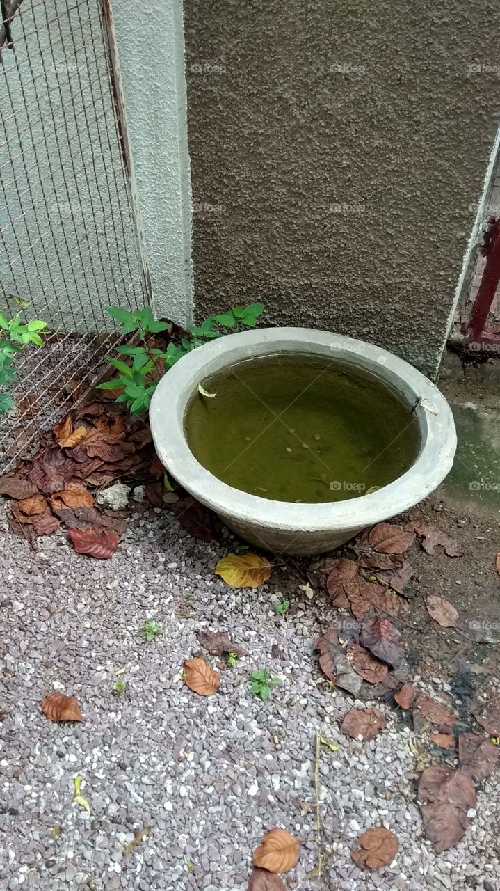 big water pot