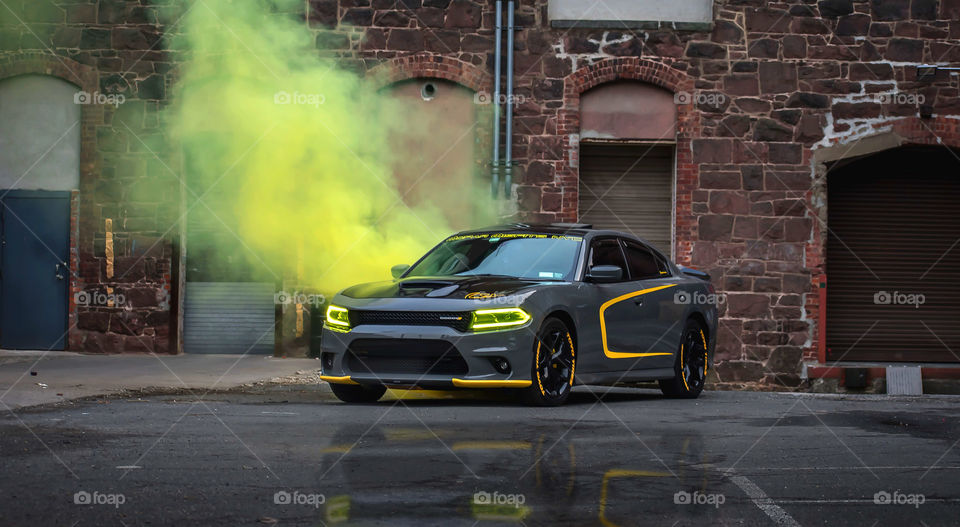 Grey and yellow monster
