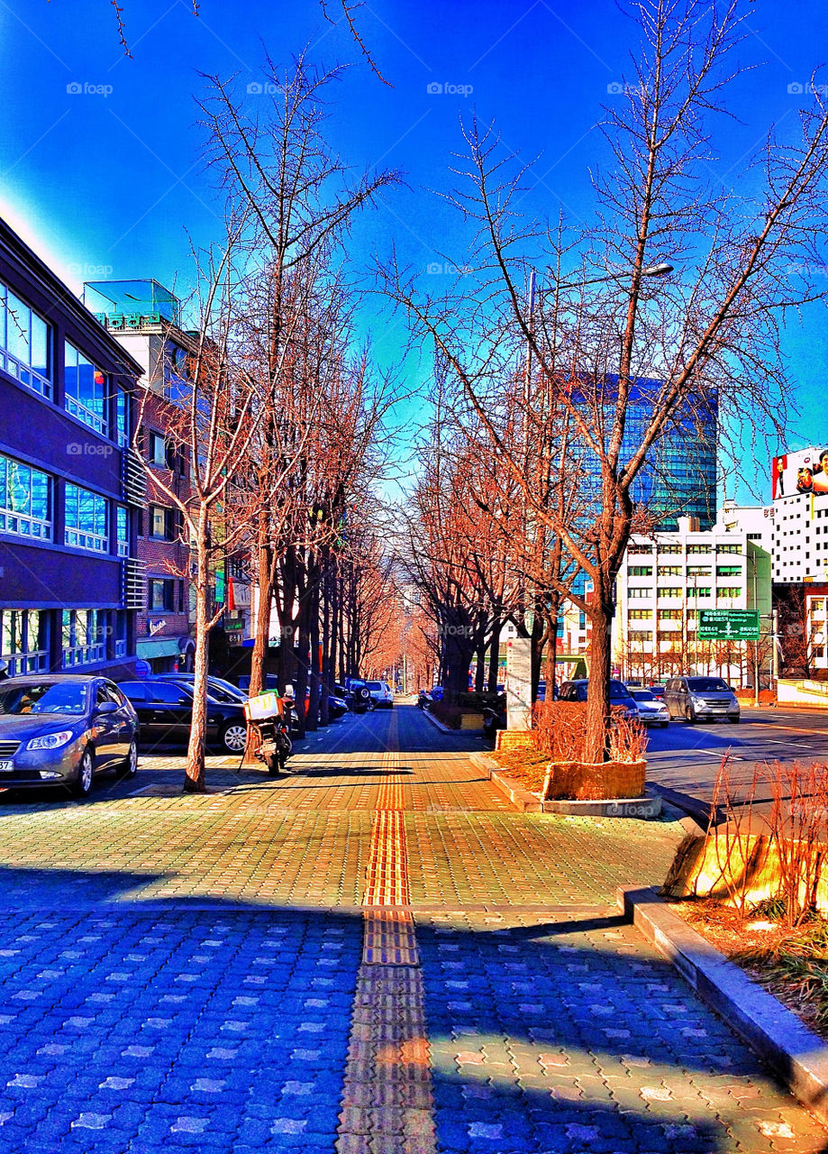 Walking in the street