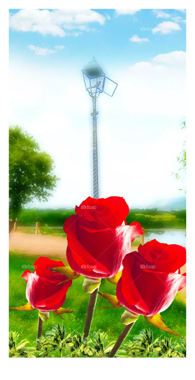 flowers