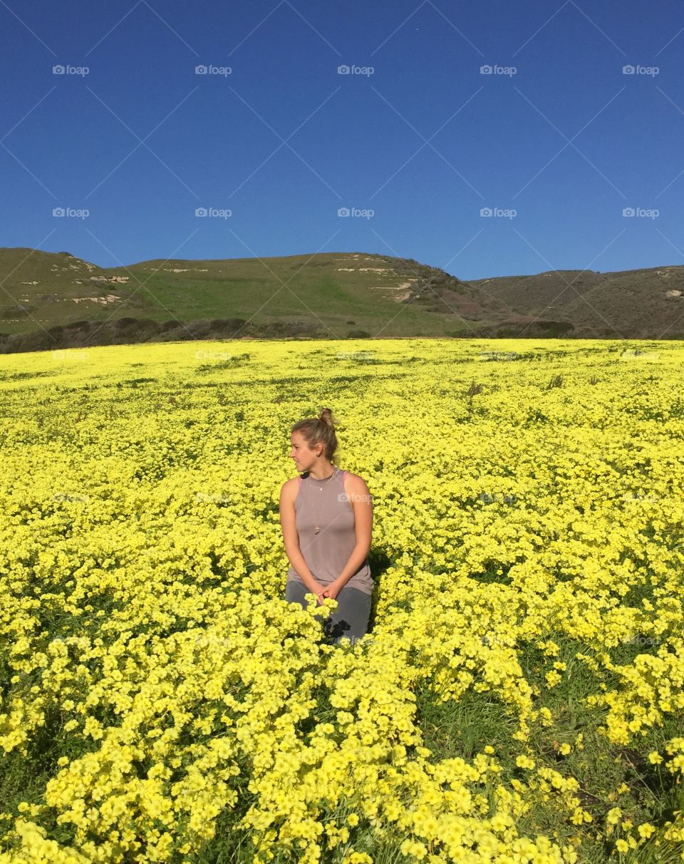 Sitting in a field of yellow
