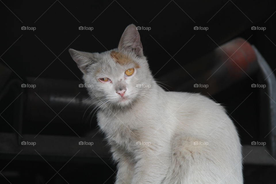 What are you looking at?