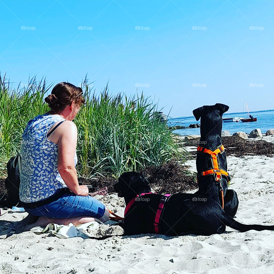 Mit den Hunden am Strand