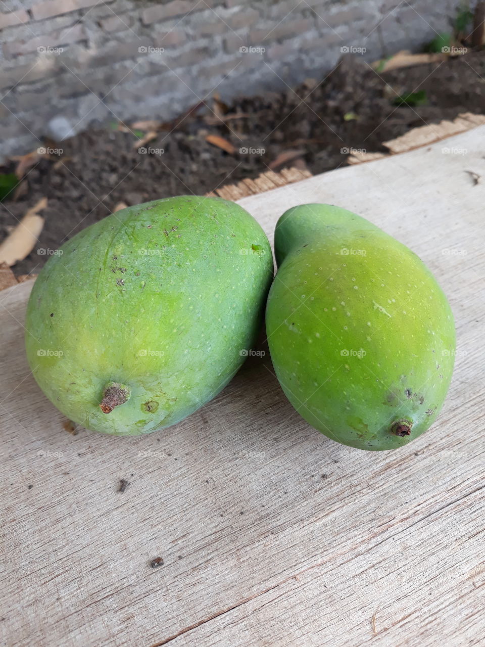 local mangoes