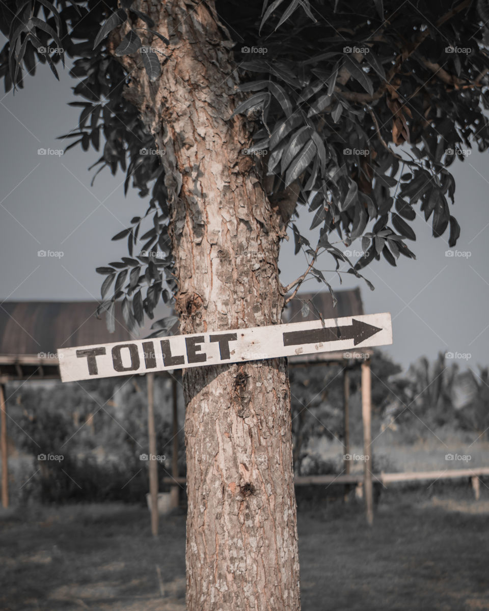 Wooden toilet sign board mounted on a tree