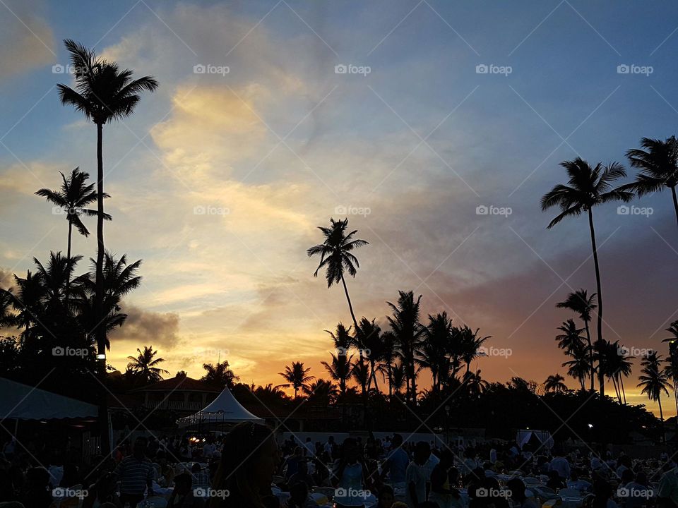Beach, Palm, Tree, Seashore, Island