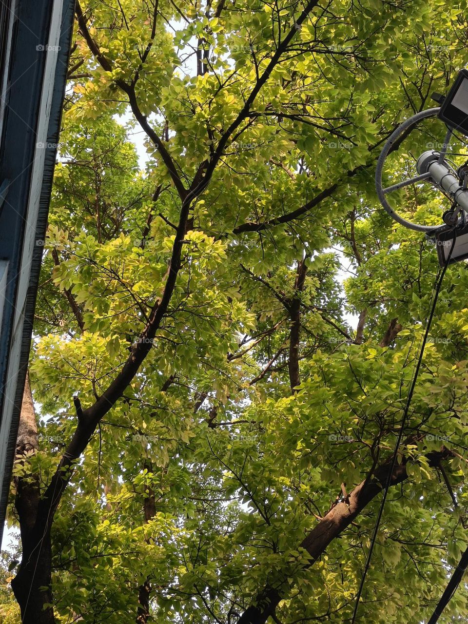 City Life in spring!