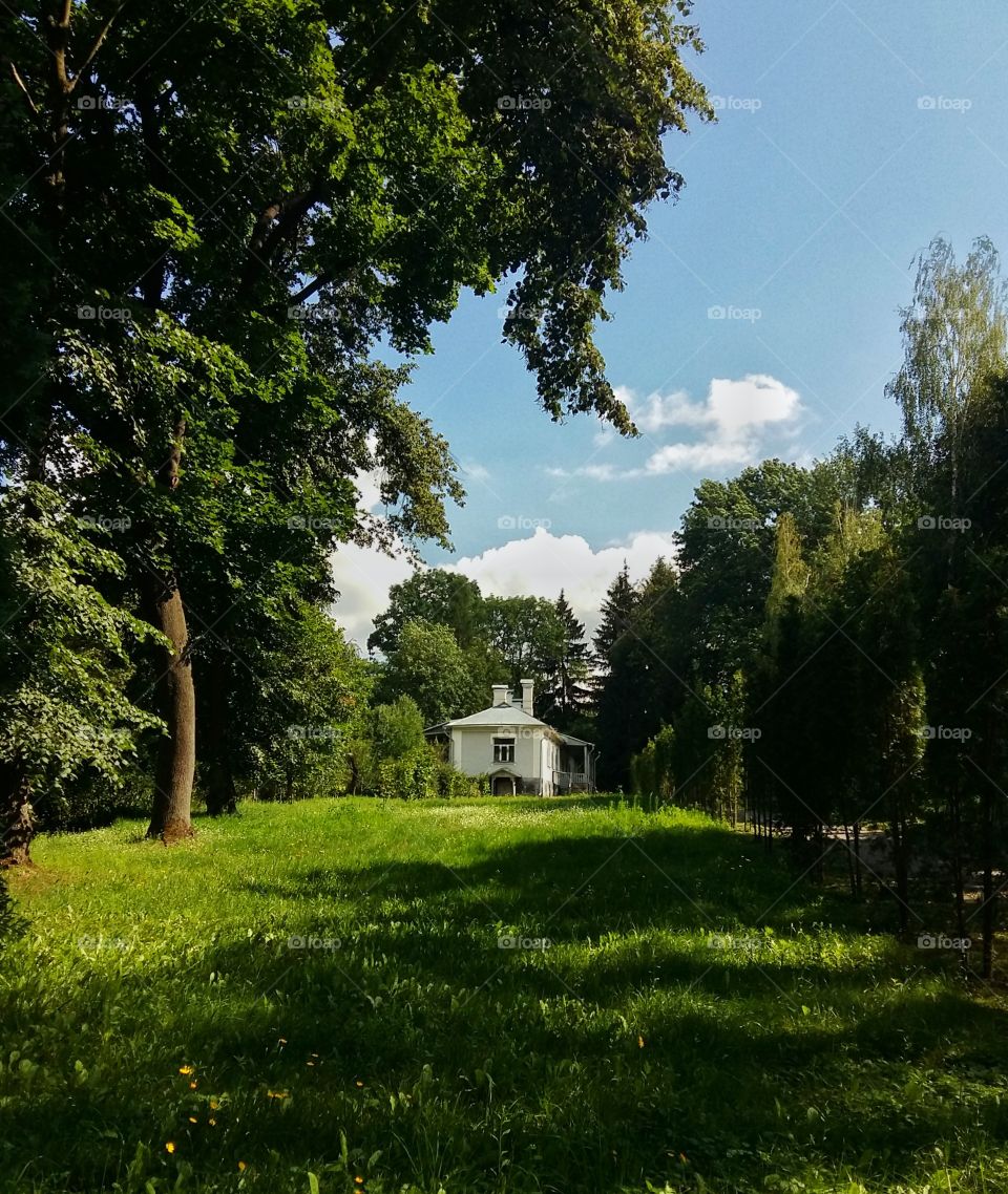 House in the park