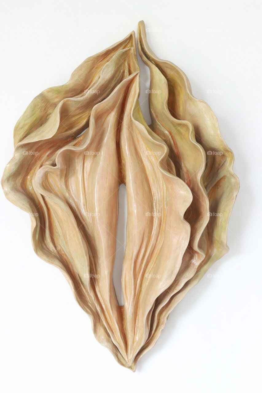 interior female genital abstract