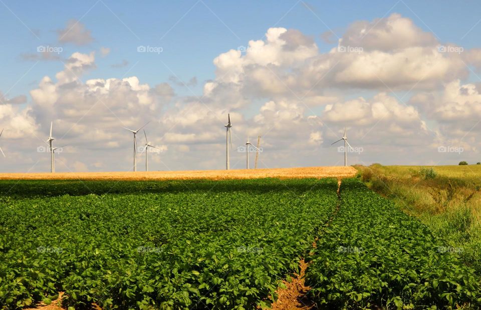 Northern France landscape