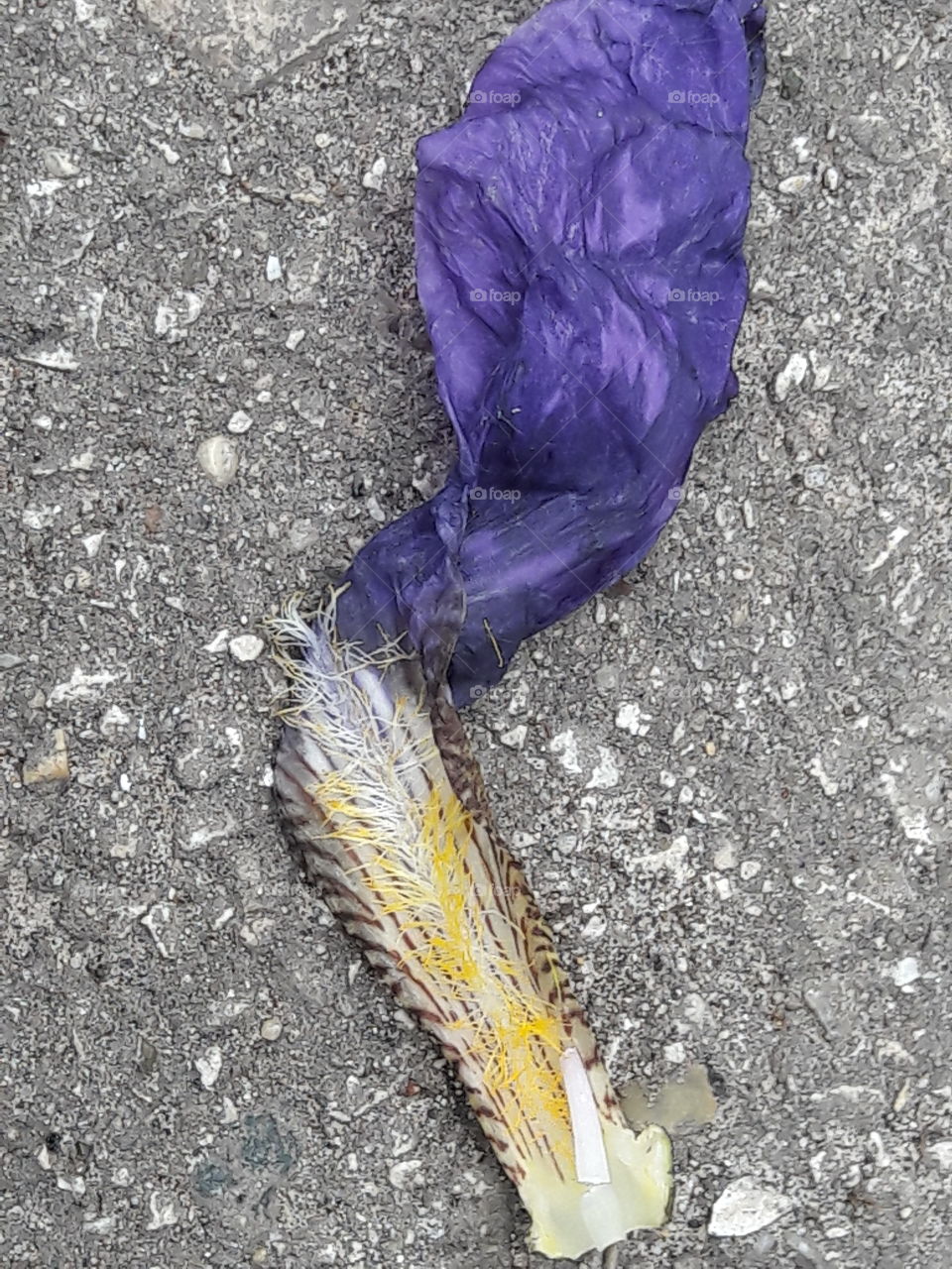 perfect imperfections