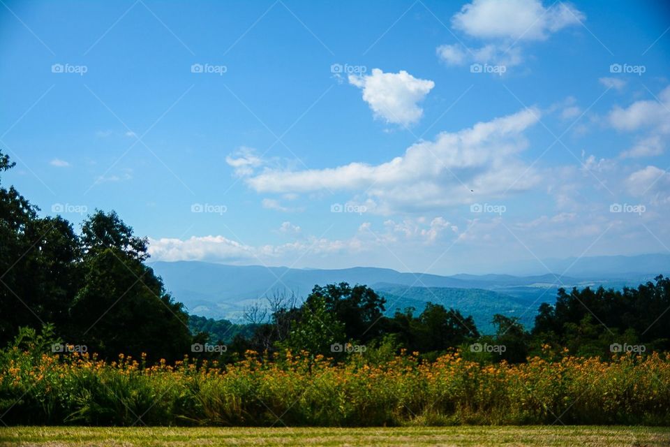 Blue Ridge Mountains