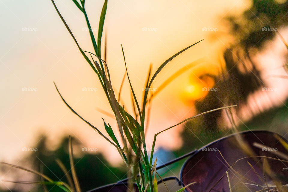 orange colour story 