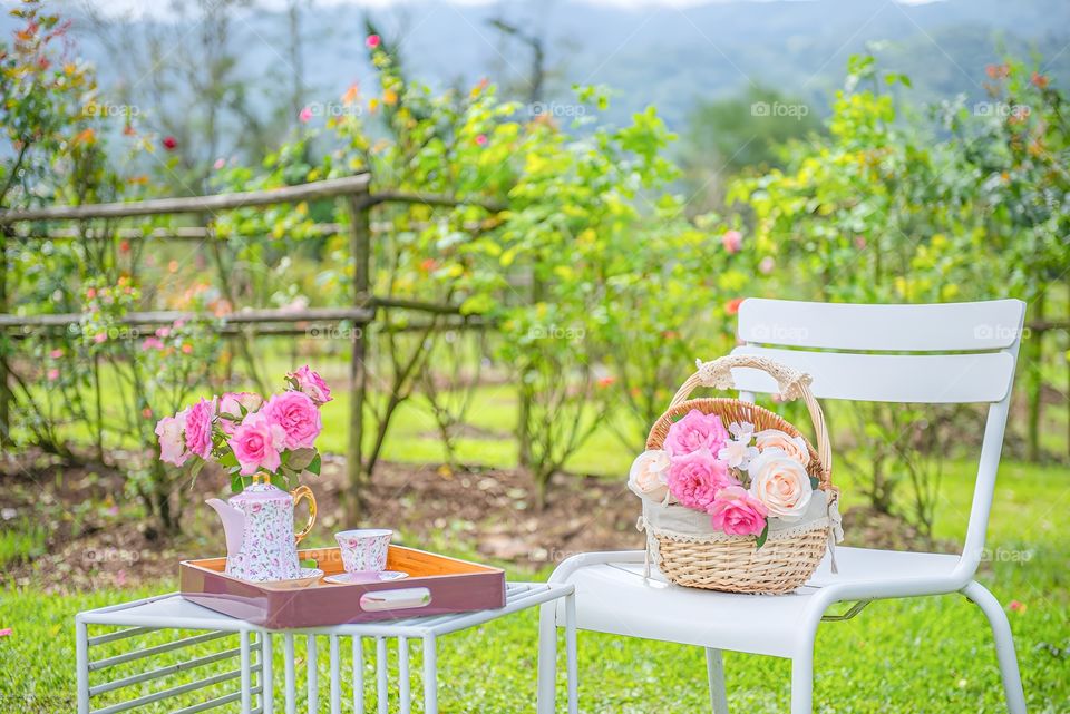 Roses are so beautiful that they don't dare to pick them