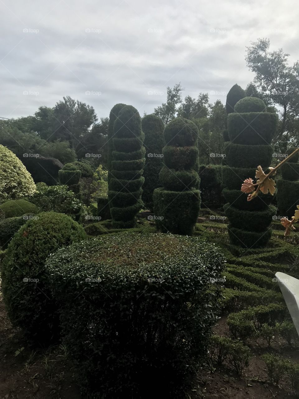 Jardim botânico Funchal 
