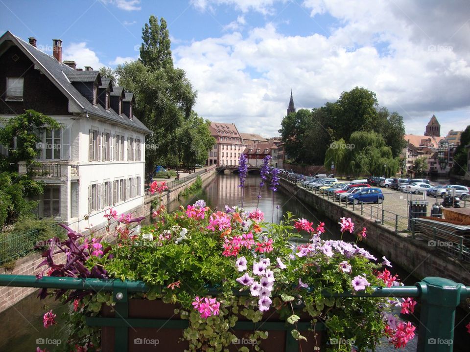 Flower Bridge