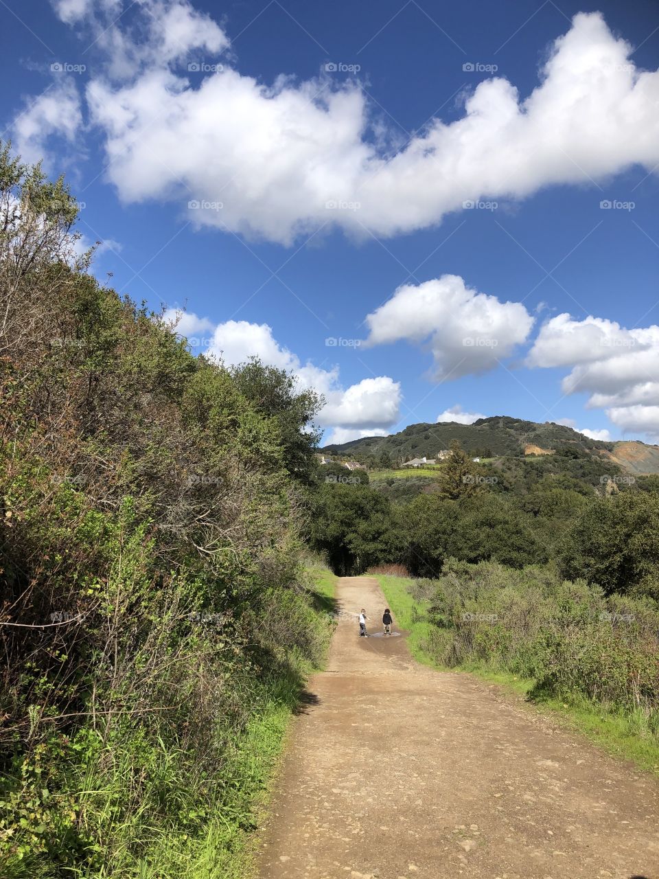 Beautiful scenic trail