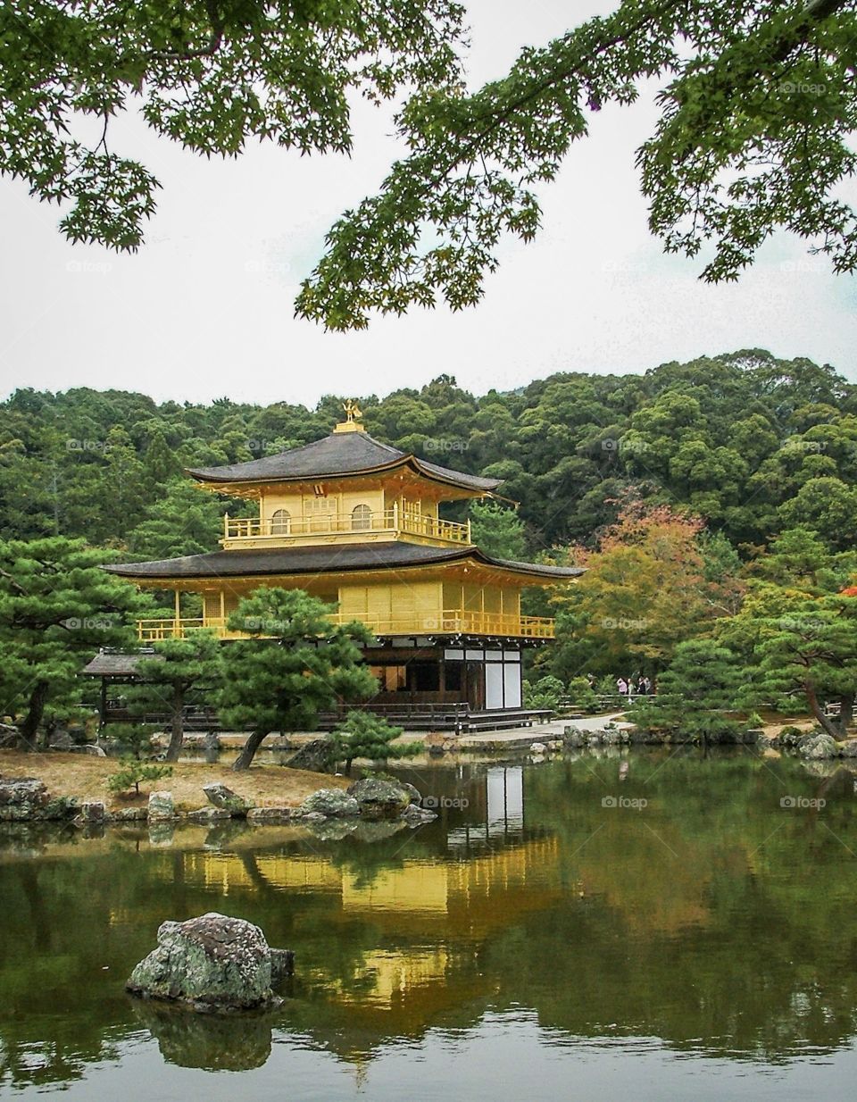 Kyoto/Japan-Golden castle , Kinkakuji Temple is the most famous for tourists over the world to visit