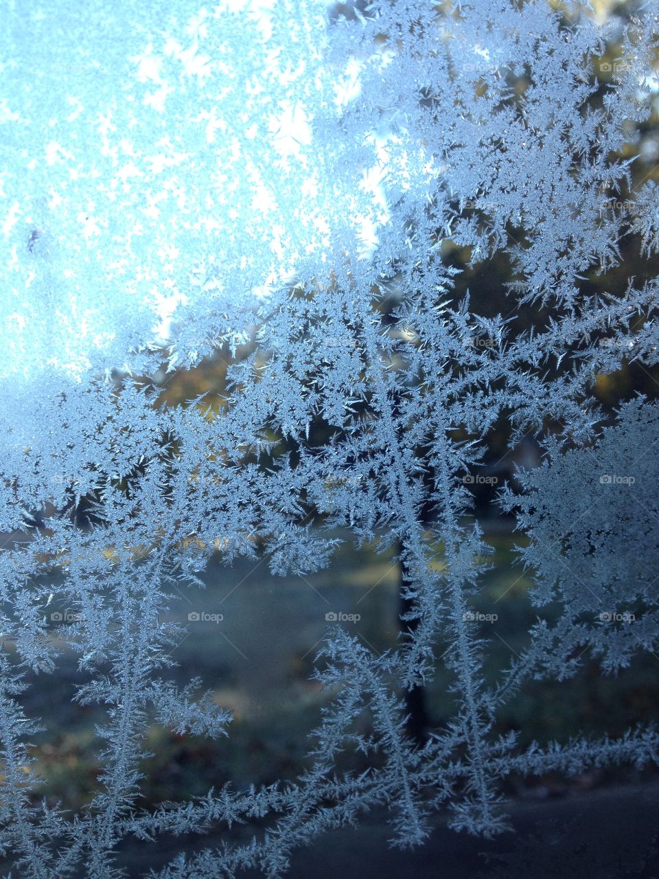 Frost on car window.