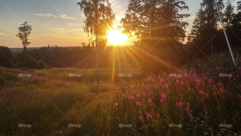 Sundusk from the hill.. Summer evening in south Estonia