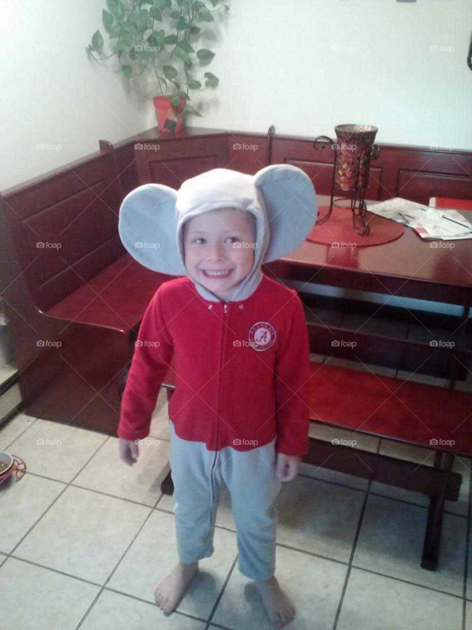 My little Mouse