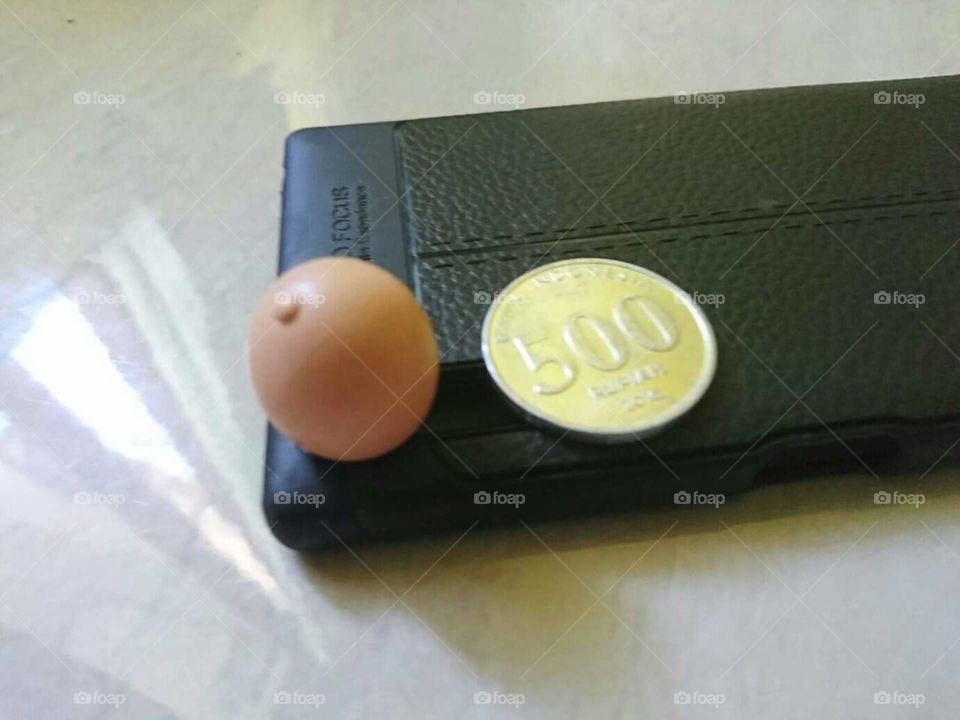 Coin Egg Wallet