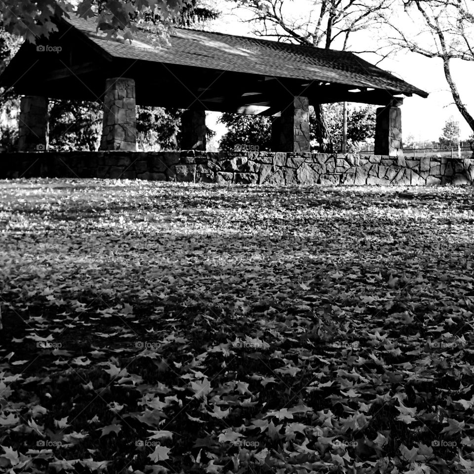 A covered structure at Pioneer Park in Bend, Oregon rises above a blanket of leaves. 