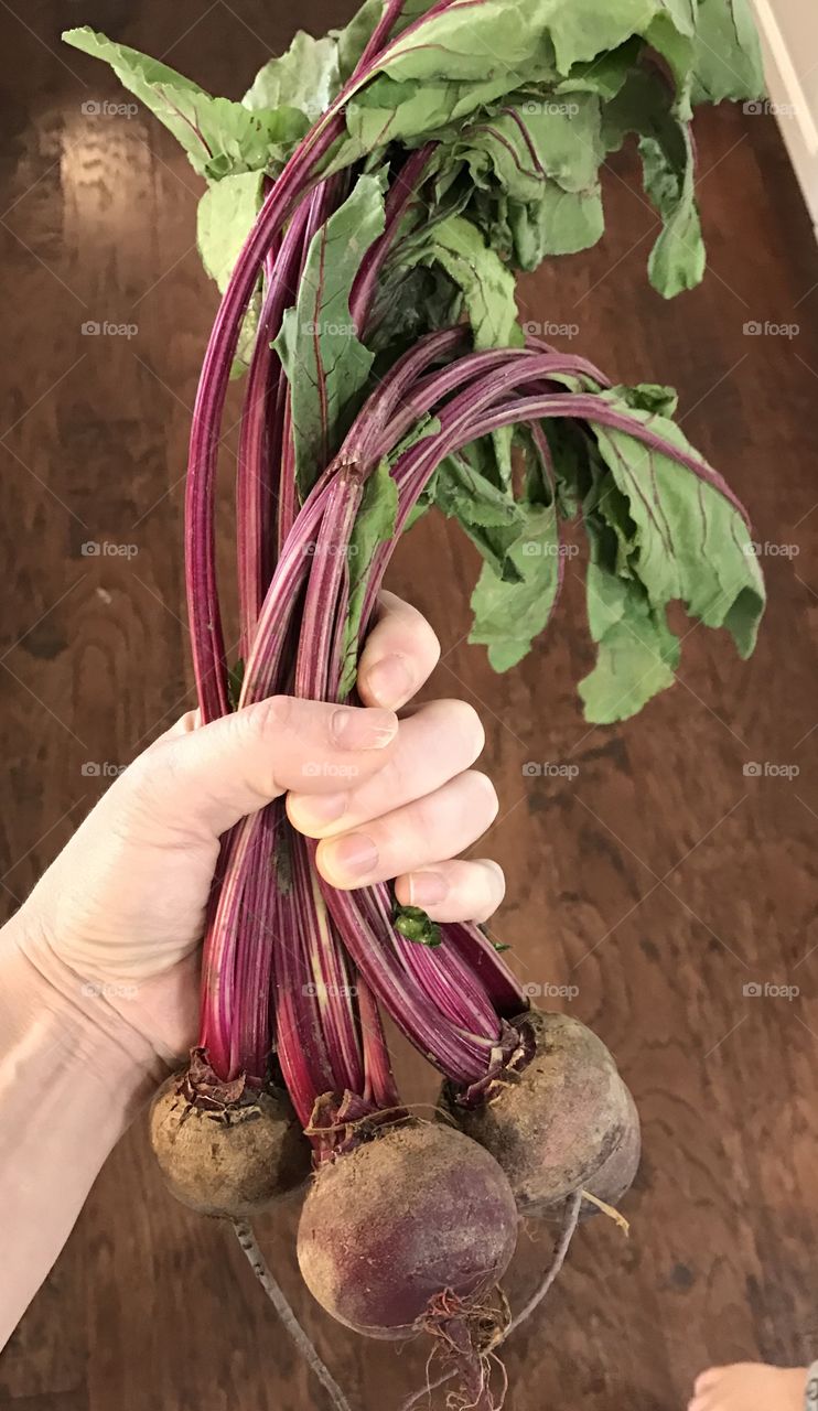 Bunch of red beets